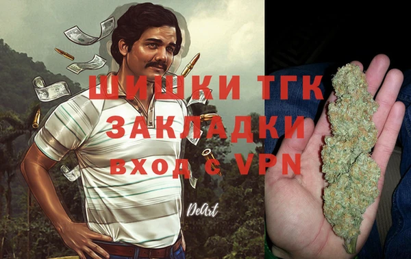 ПСИЛОЦИБИНОВЫЕ ГРИБЫ Абаза