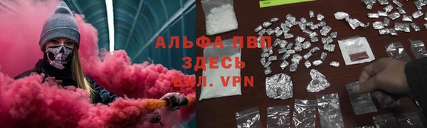 ПСИЛОЦИБИНОВЫЕ ГРИБЫ Абаза