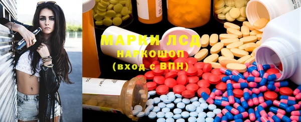ПСИЛОЦИБИНОВЫЕ ГРИБЫ Абаза